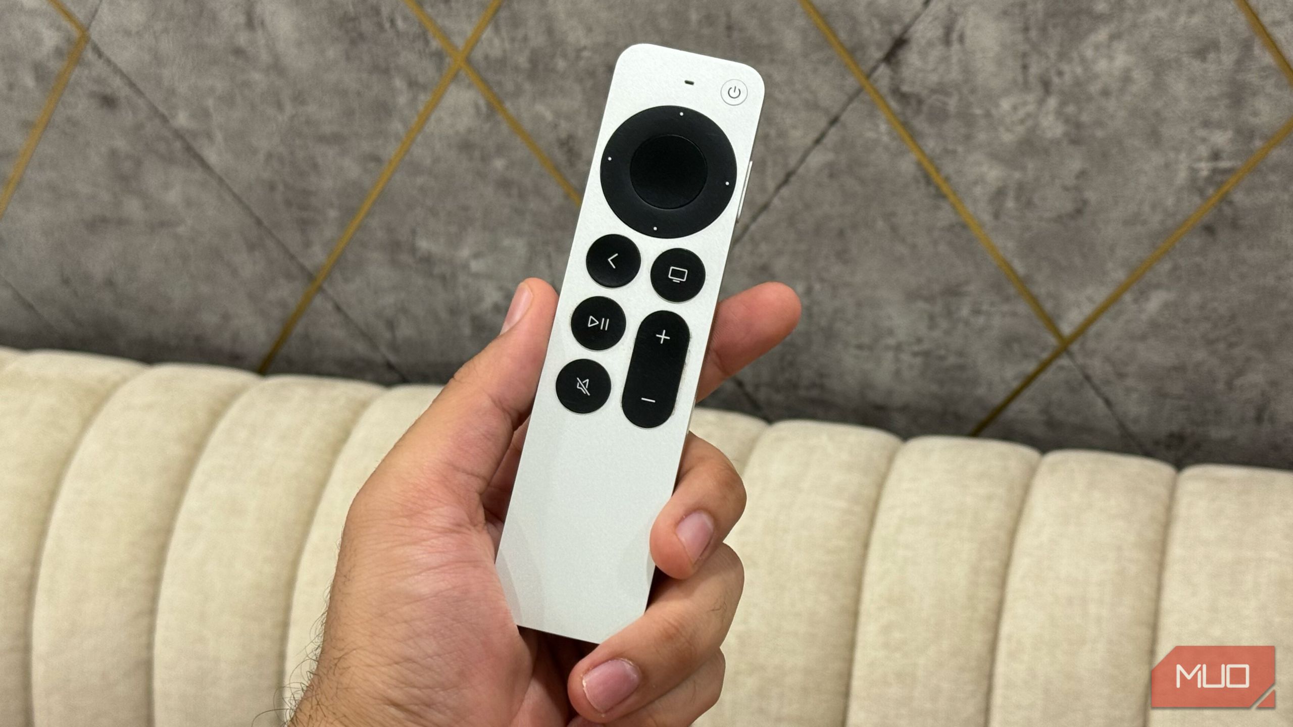 Apple TV remote in hand