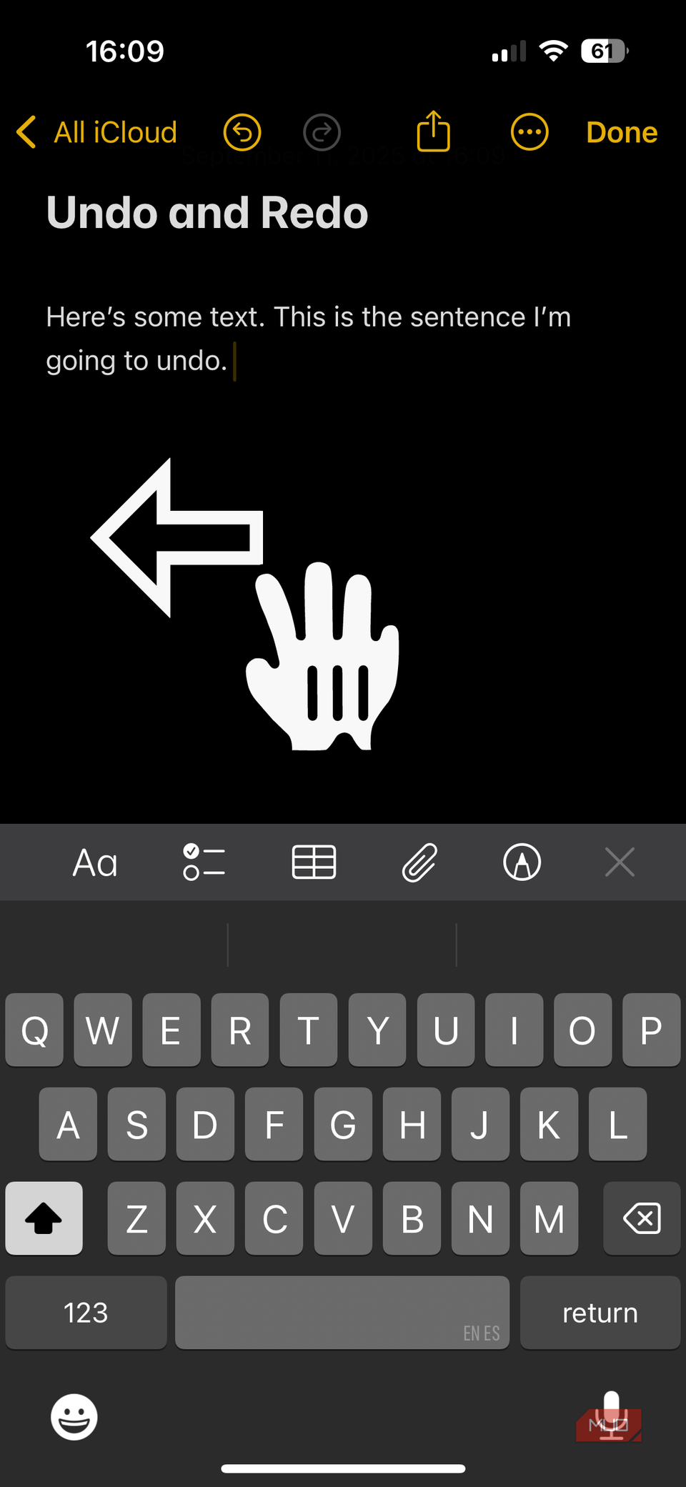 02a iPhone Notes App Preparing to Undo Text