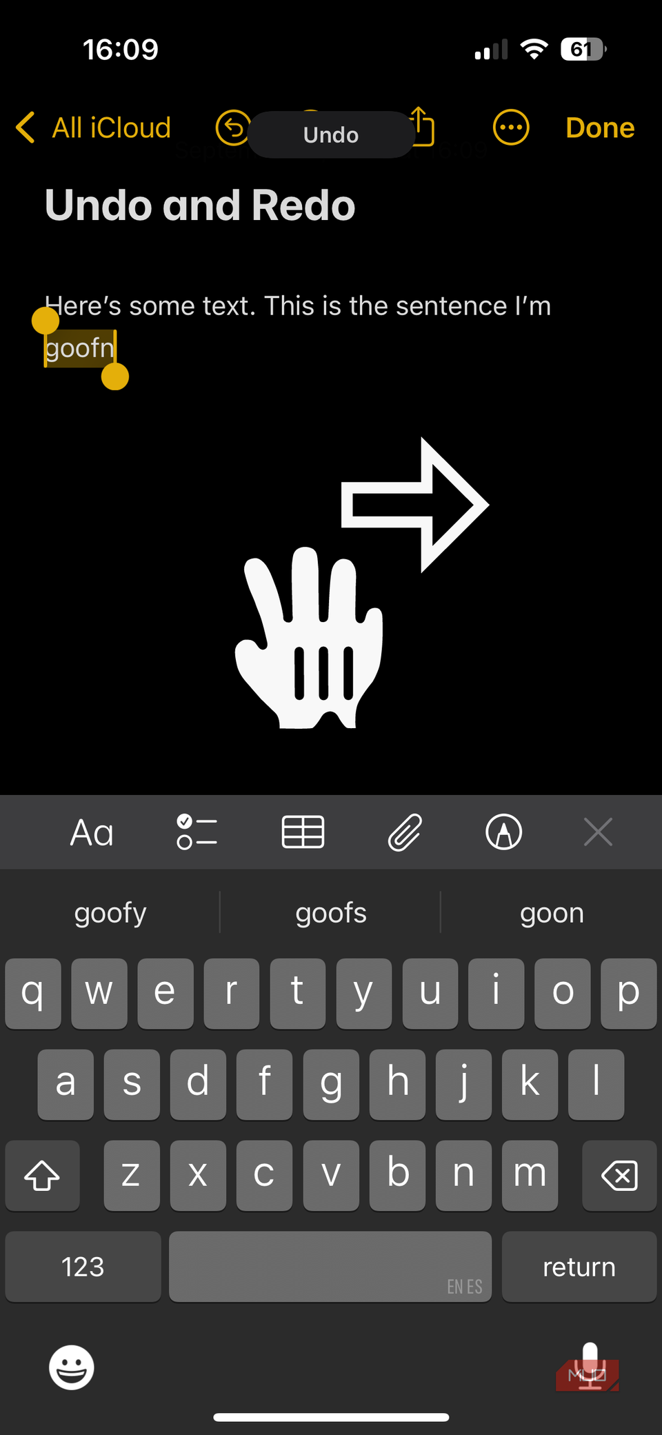 02b iPhone Notes App Undoing Typing