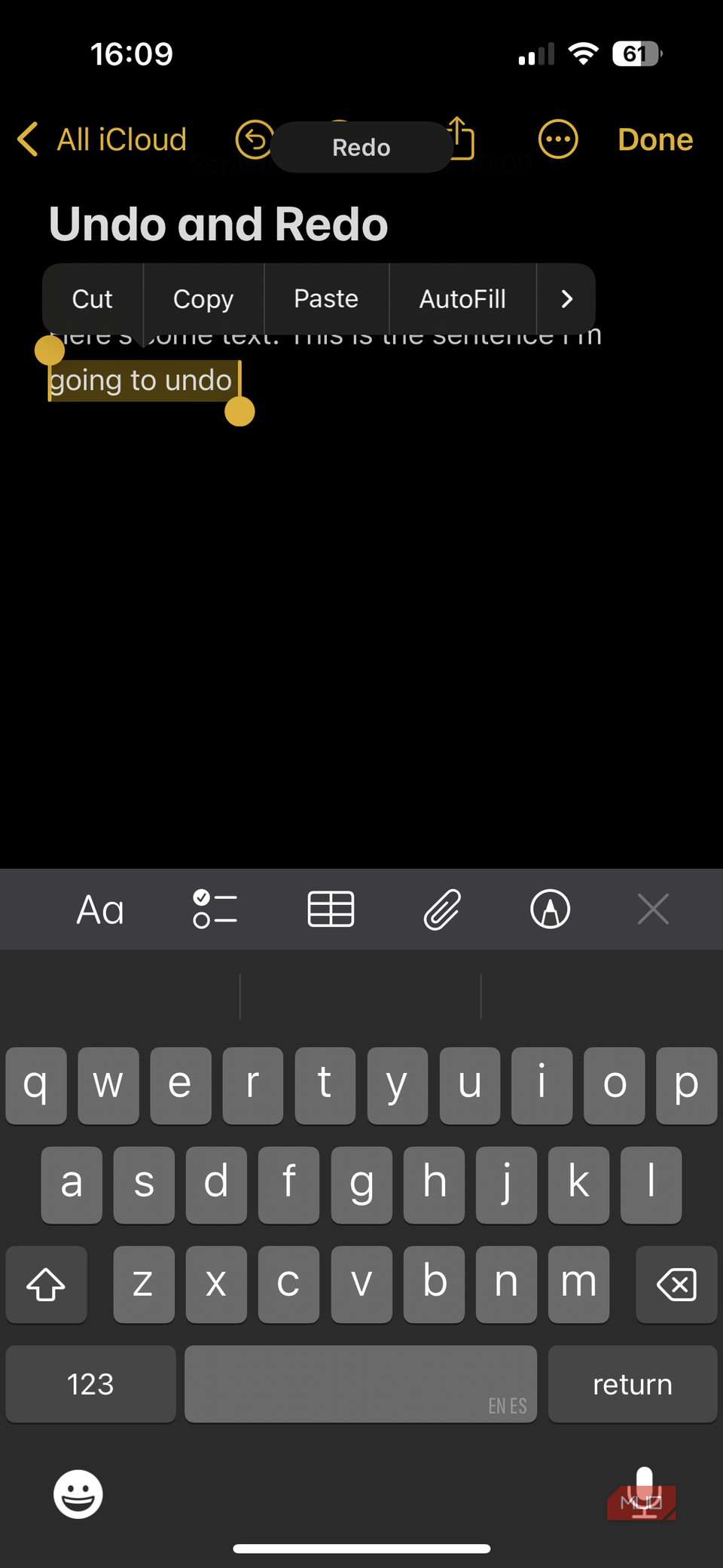 02c iPhone Notes App Redoing Undone Action