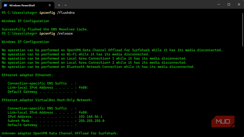 03 Windows ipconfig Flags