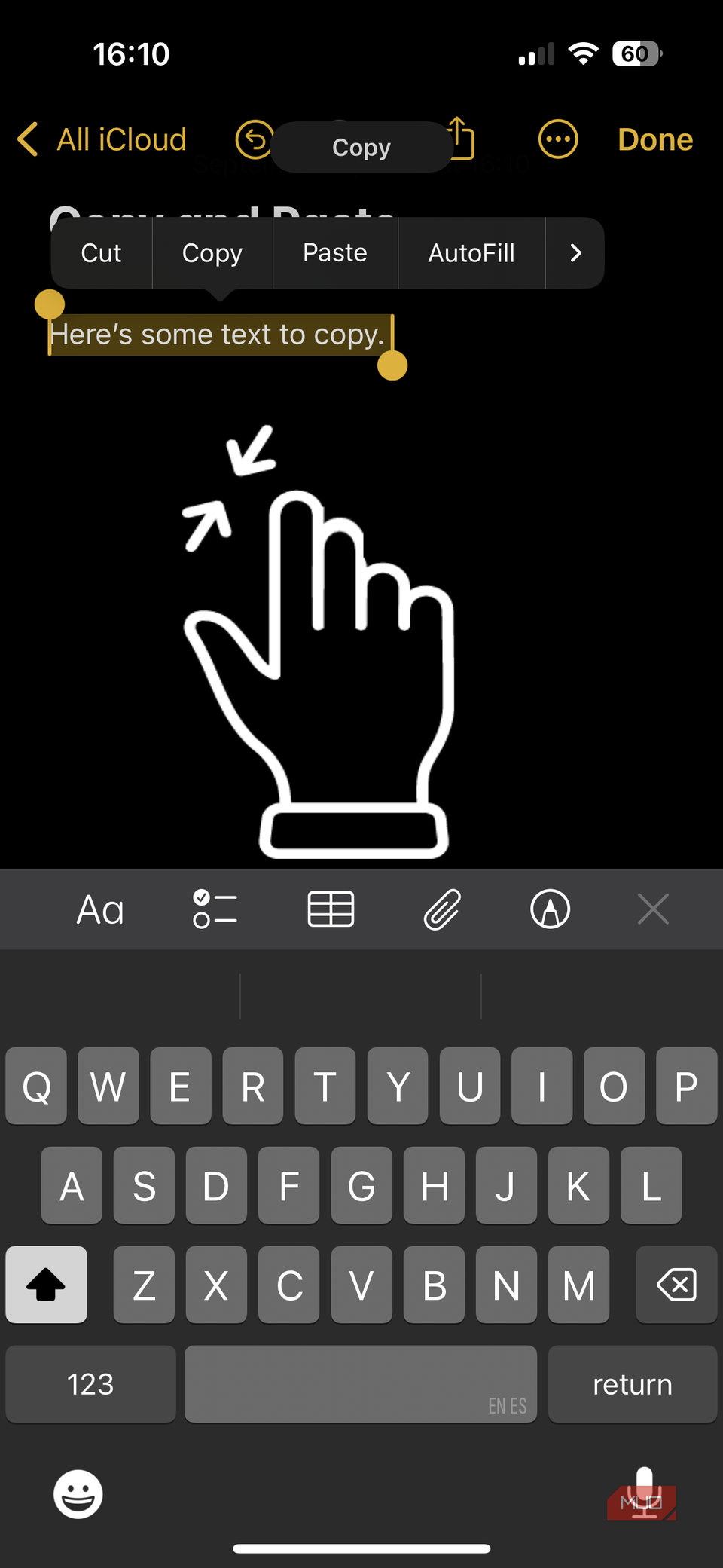 03a iPhone Highlighted Text to Copy
