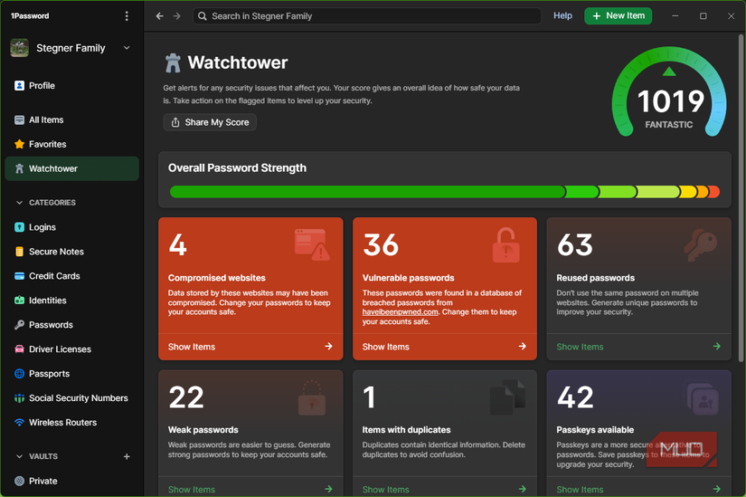 07 1Password Watchtower Security Issues
