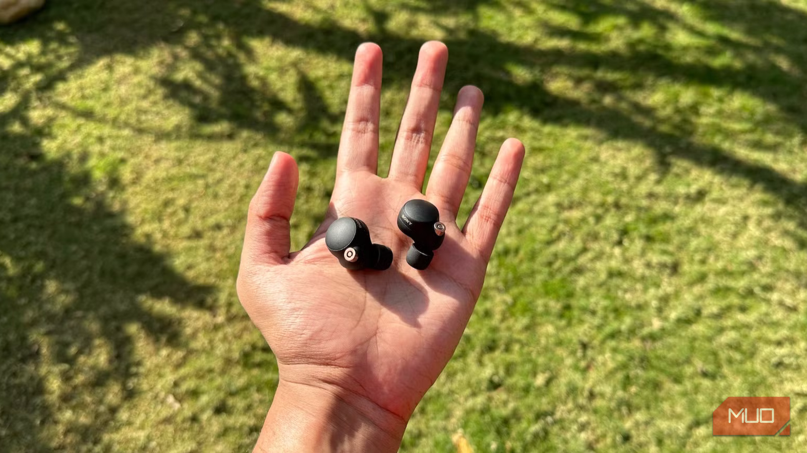 A hand holding out a pair of earbuds in the sun.