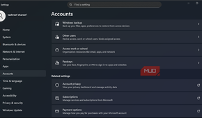 Accounts tab open on the Windows 11 Settings app