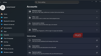 Accounts tab open on the Windows 11 Settings app