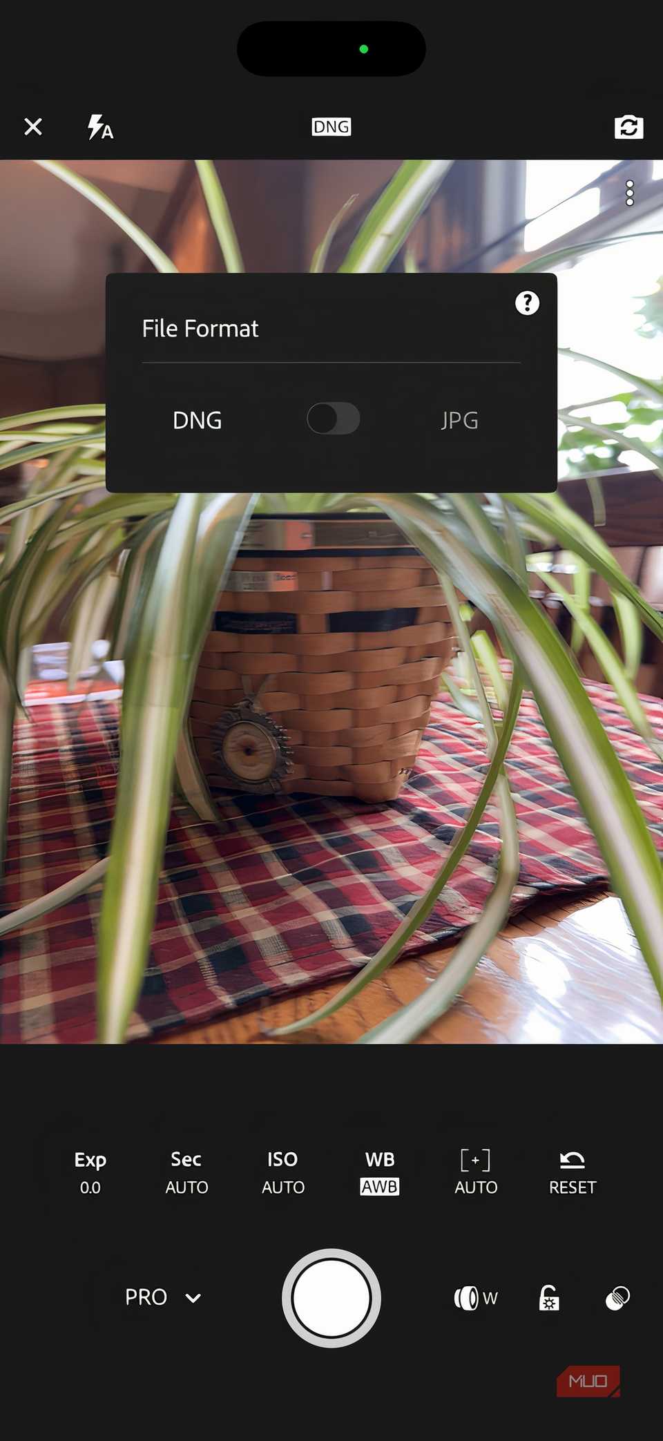 Adobe Lightroom Mobile app showing image quality