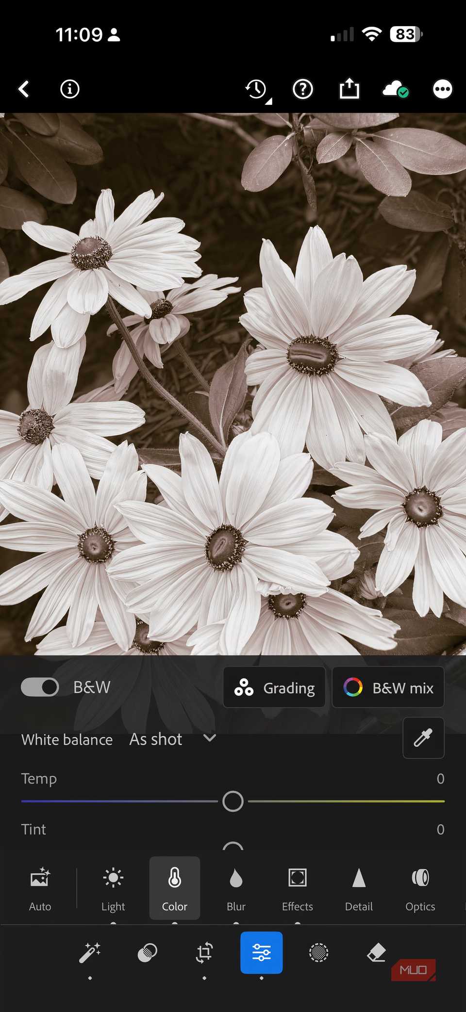Adobe Lightroom Mobile editing.