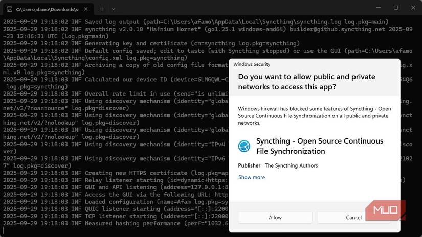 Allowing private and public access on Syncthing