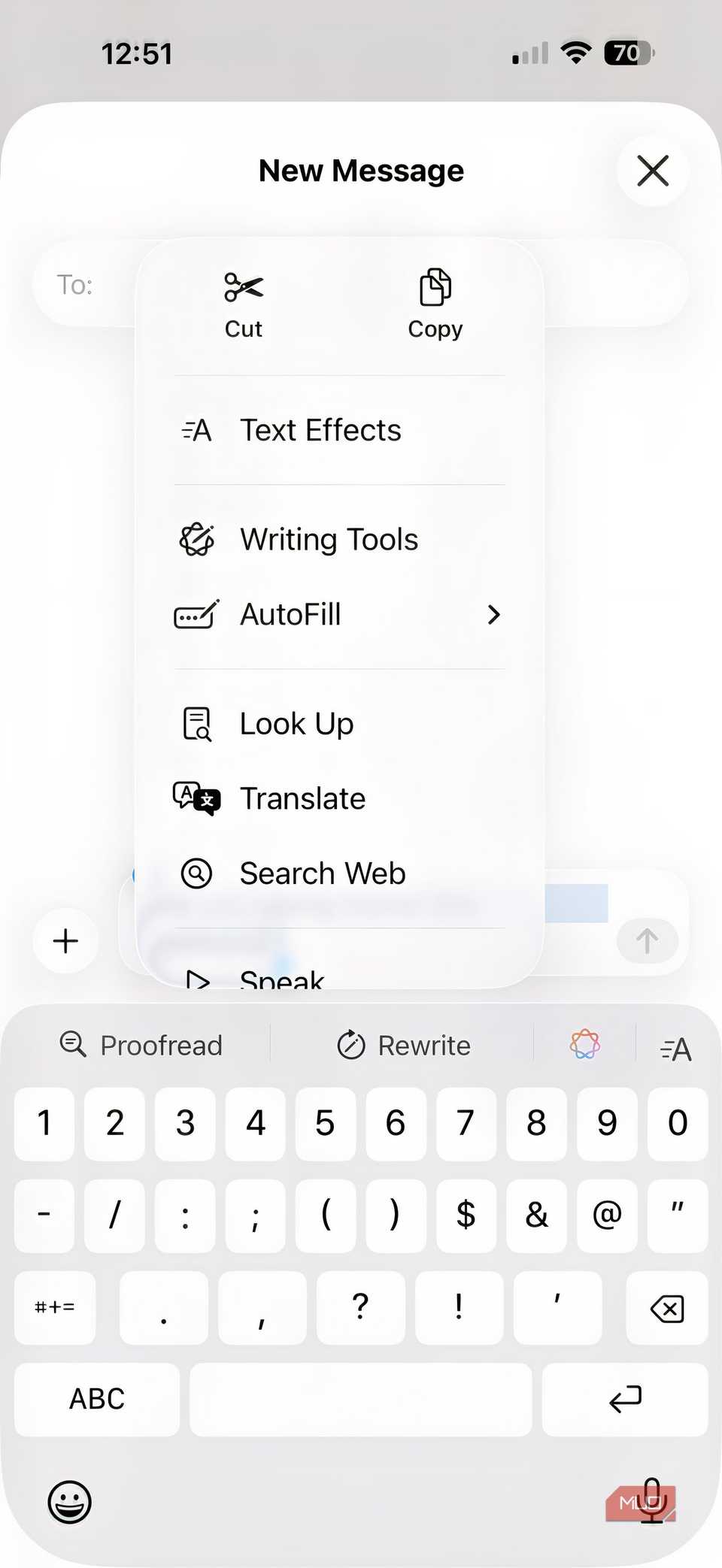 Screenshot showing Apple Intelligence lighting tools on iPhone