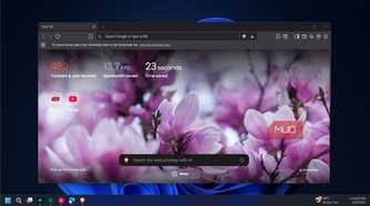 Brave browser start page open on a Windows 11 computer