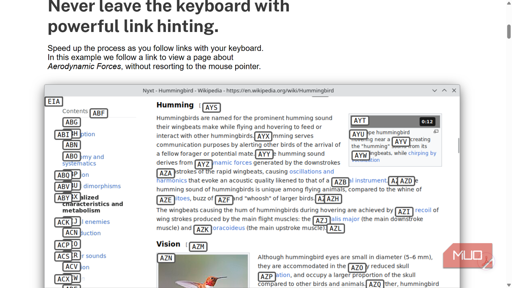 Browsing Wikipedia on Nyxt browser with overlaying hints.