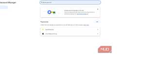 Chrome password anager