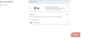 Chrome password anager