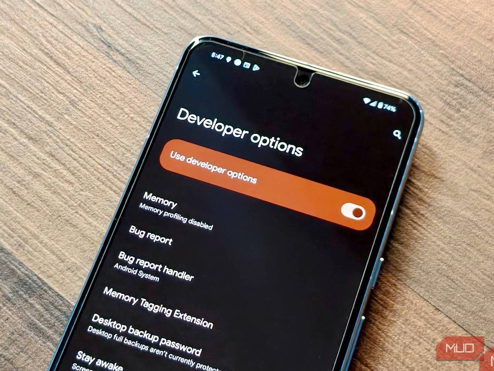 Developer Options মেনু
