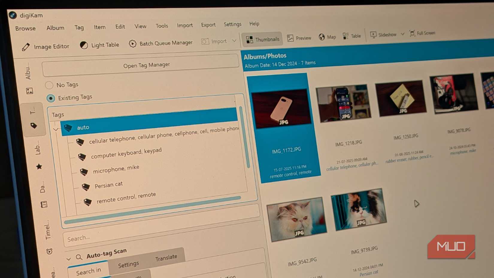 DigiKam auto tags screen.