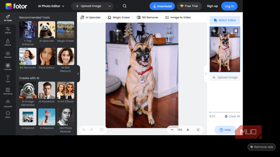 Editing an image in Fotor.