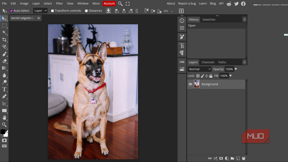 Editing an image in Photopea.
