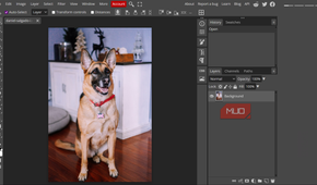 Editing an image in Photopea.