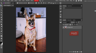 Editing an image in Photopea.