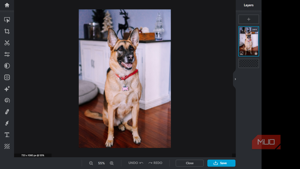 Editing an image in Pixlr.