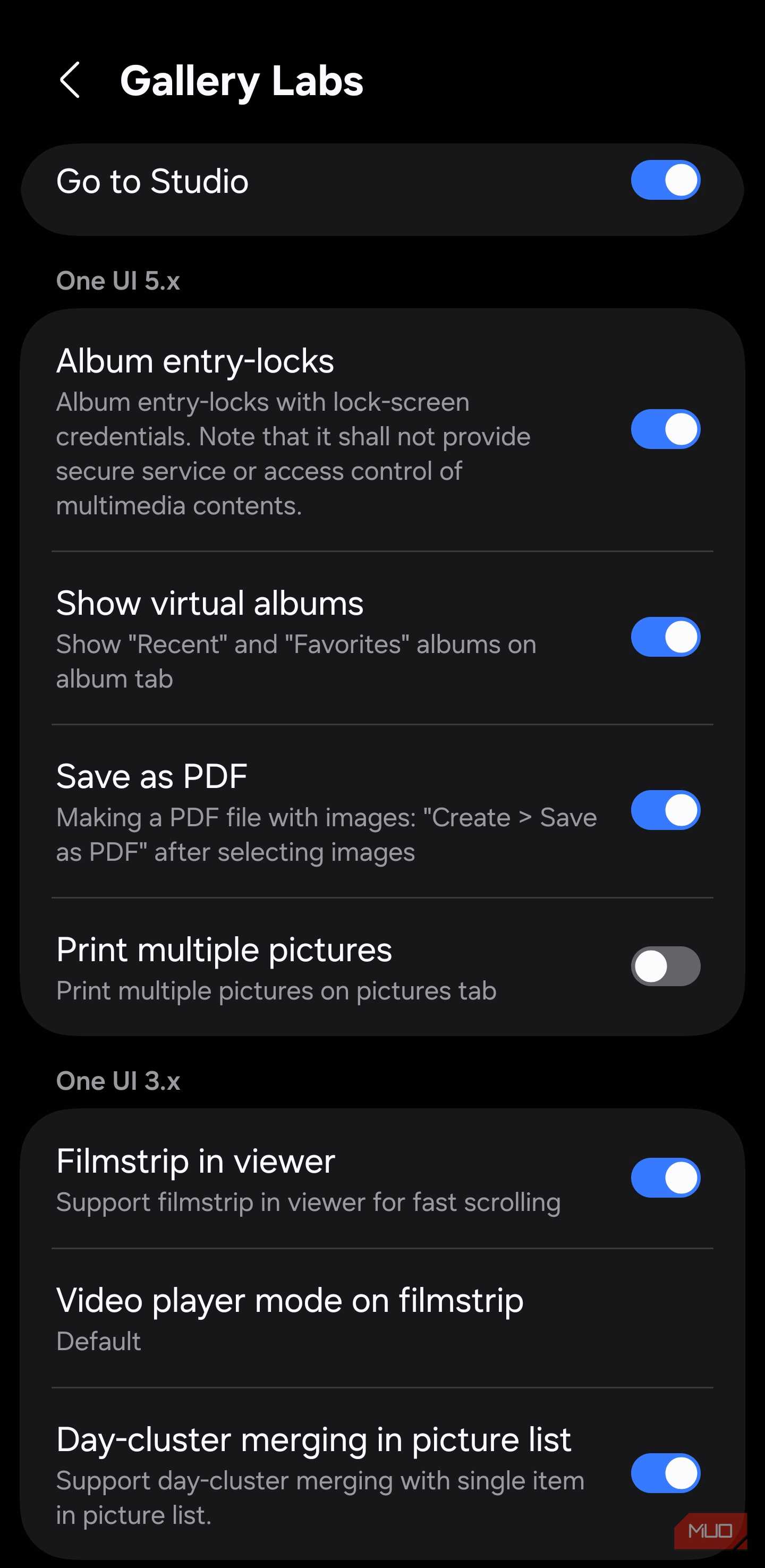 Gallery Labs with Album entry lock and Save as PDF enabled