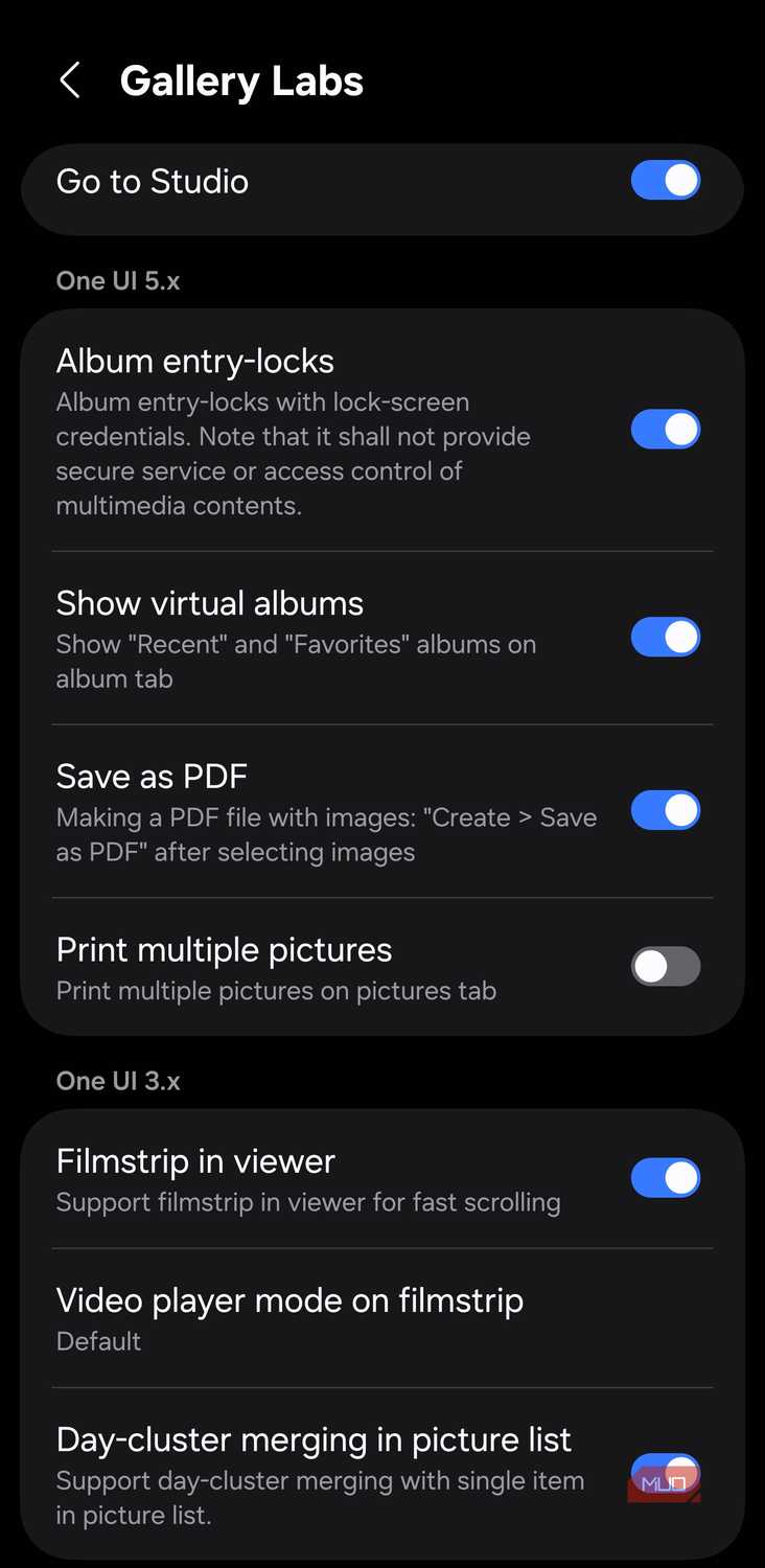Gallery Labs with Album entry lock and Save as PDF enabled
