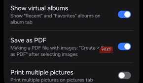 Gallery Labs with Album entry lock and Save as PDF enabled