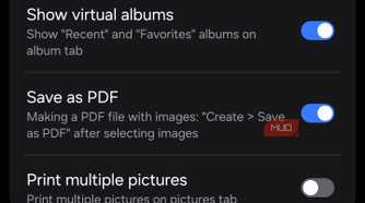 Gallery Labs with Album entry lock and Save as PDF enabled