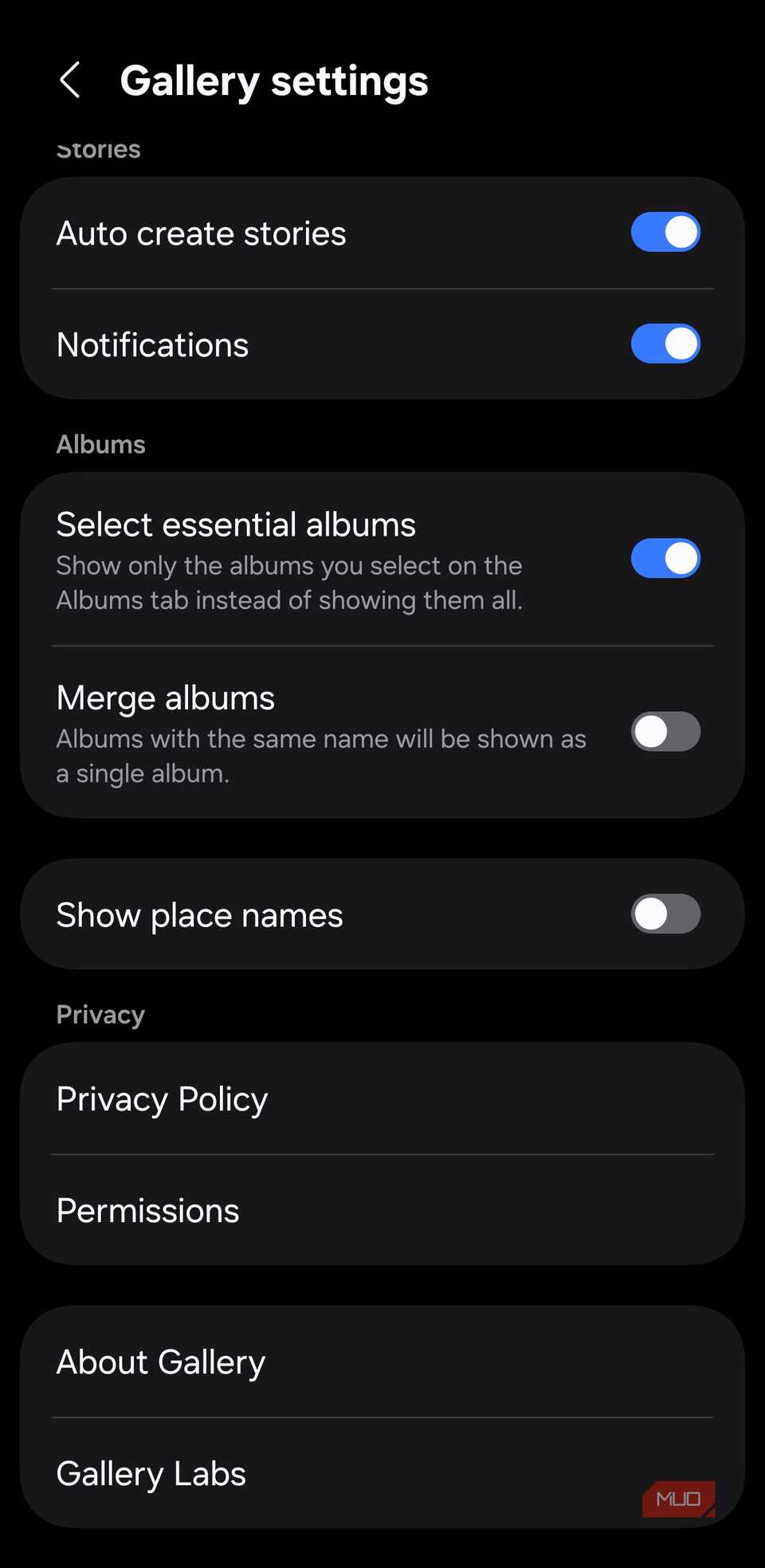 Gallery settings screen showing Gallery Labs option