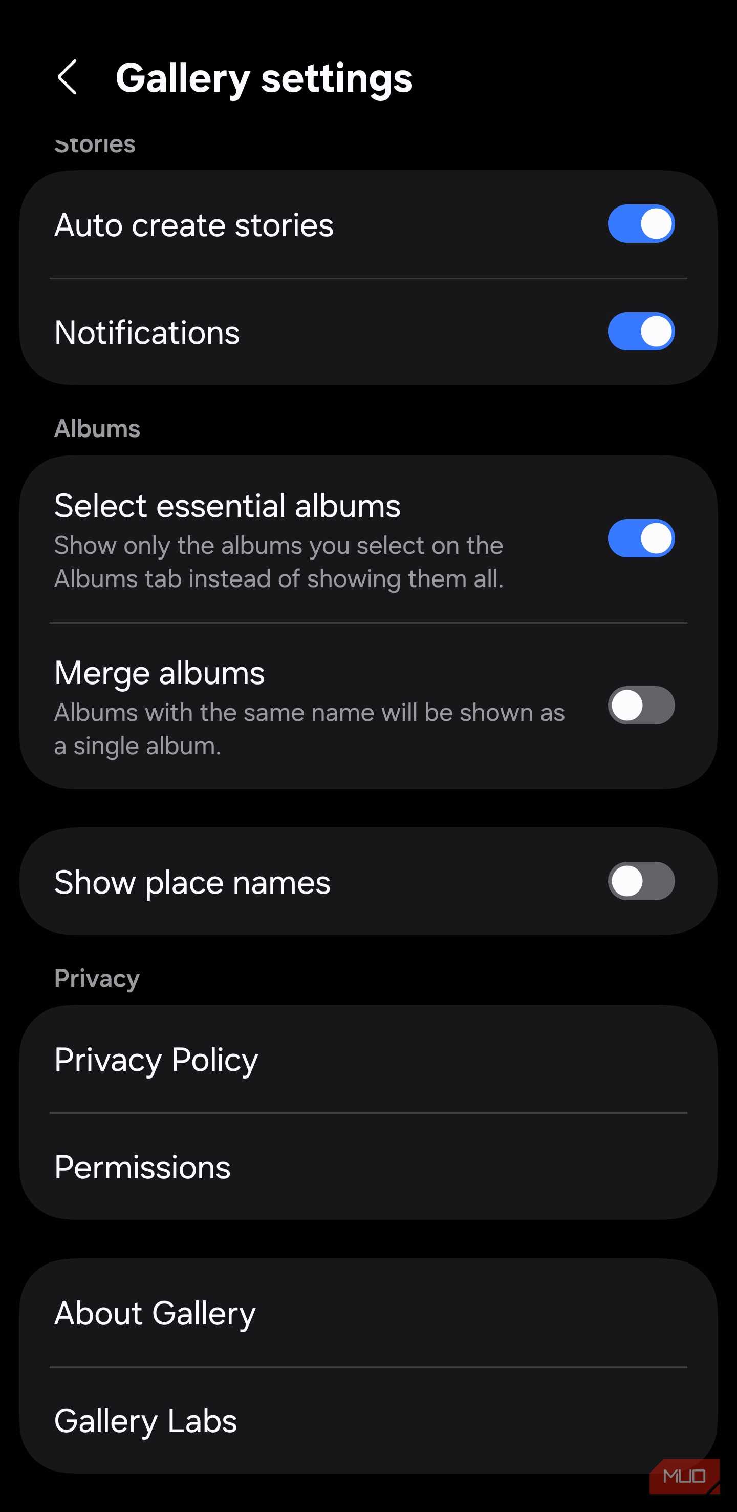 Gallery settings screen showing Gallery Labs option