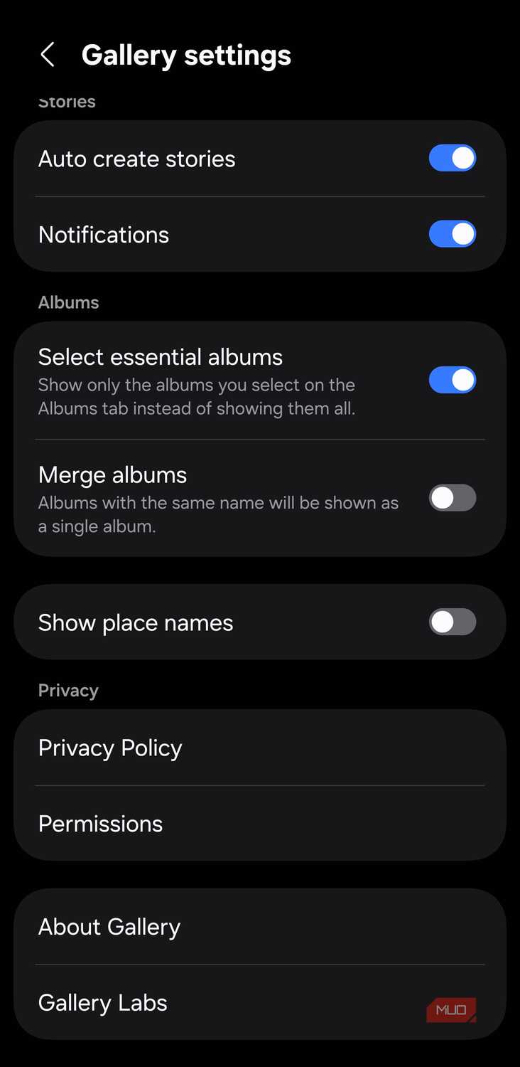 Gallery settings screen showing Gallery Labs option