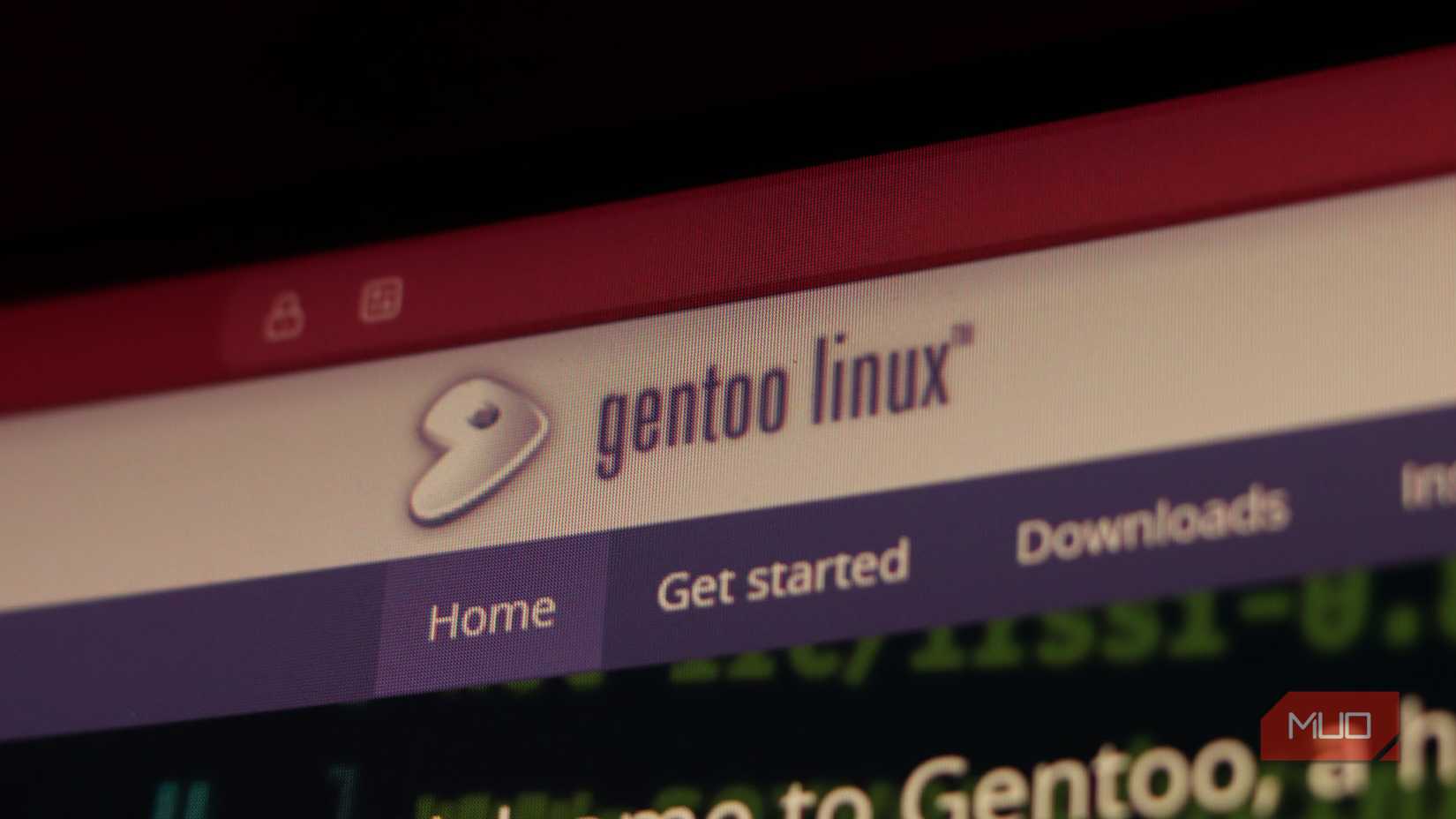 Gentoo Linux logo on the official website. 