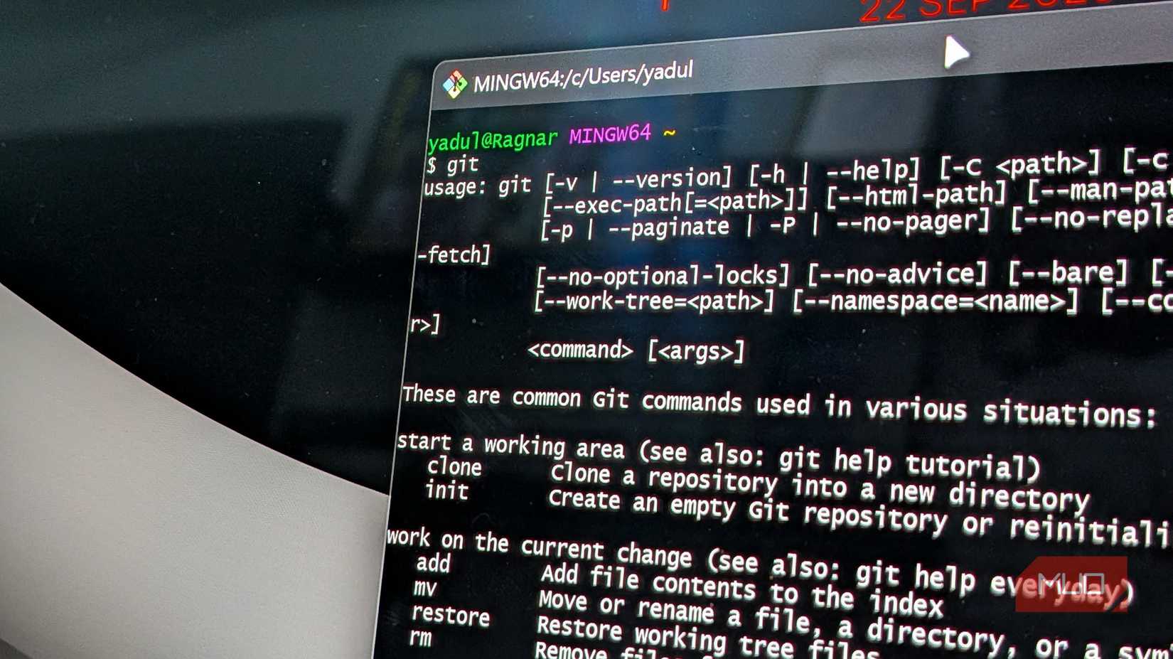Git's CLI interface on Windows.