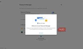 Google password manager in the google online account