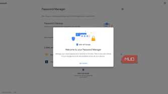 Google password manager in the google online account