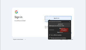 Google sign in with passkey from Windows hellow option