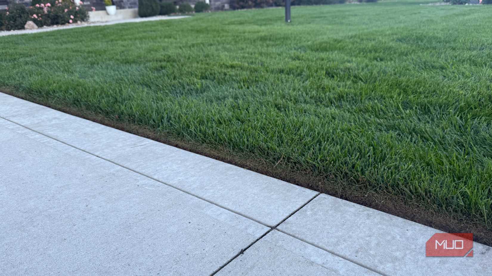 green grass with proper edging along concrete