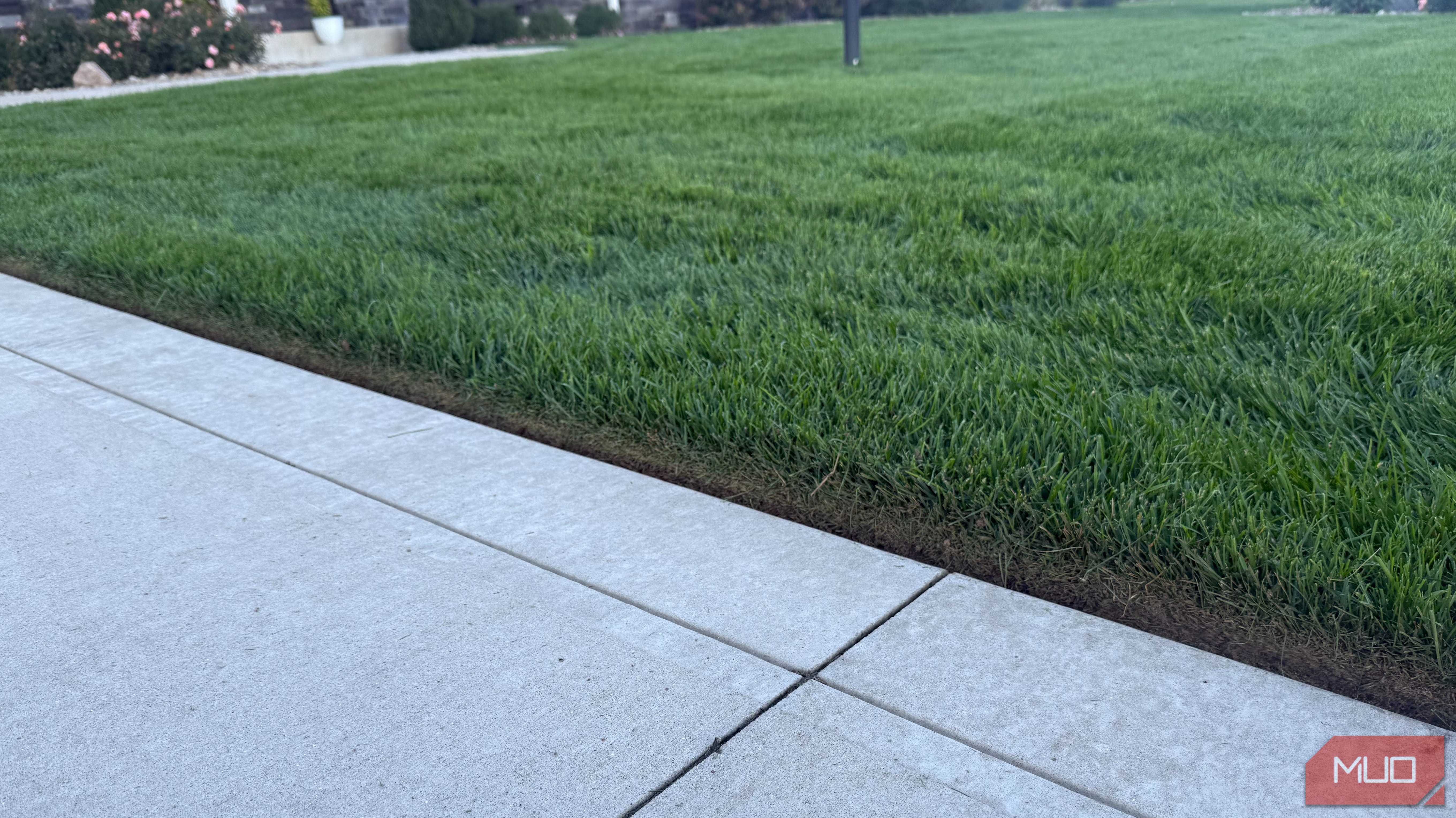 green grass with proper edging along concrete