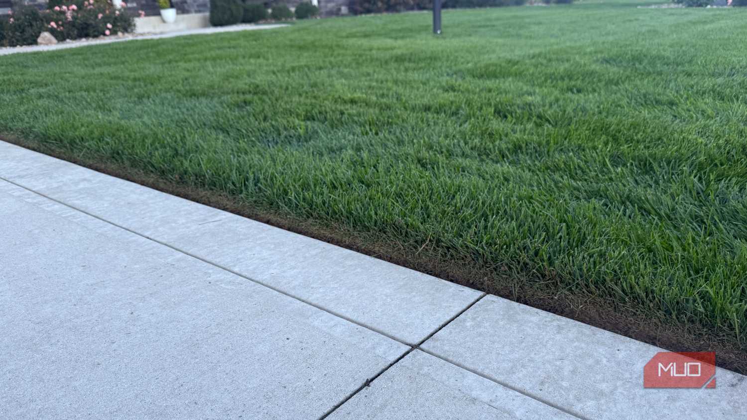 green grass with proper edging along concrete