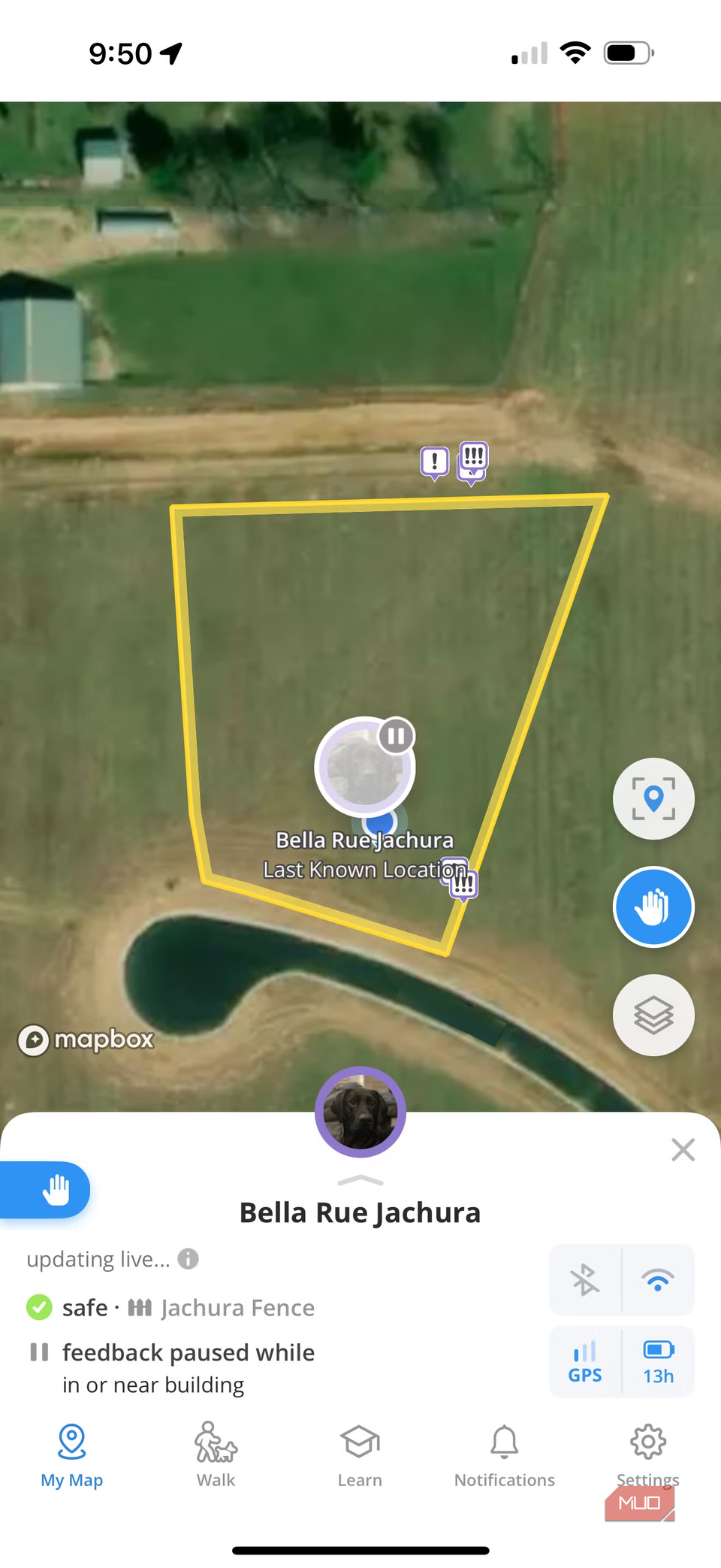 Halo app GPS fence for bella