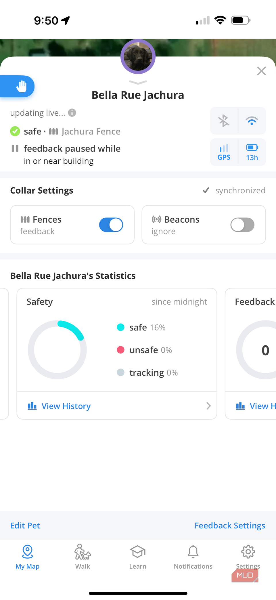 Halo app status and settings for Bella