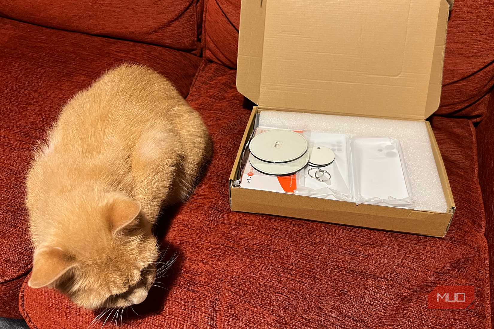 HTVRont sublimation blanks in a box next to an orange cat.