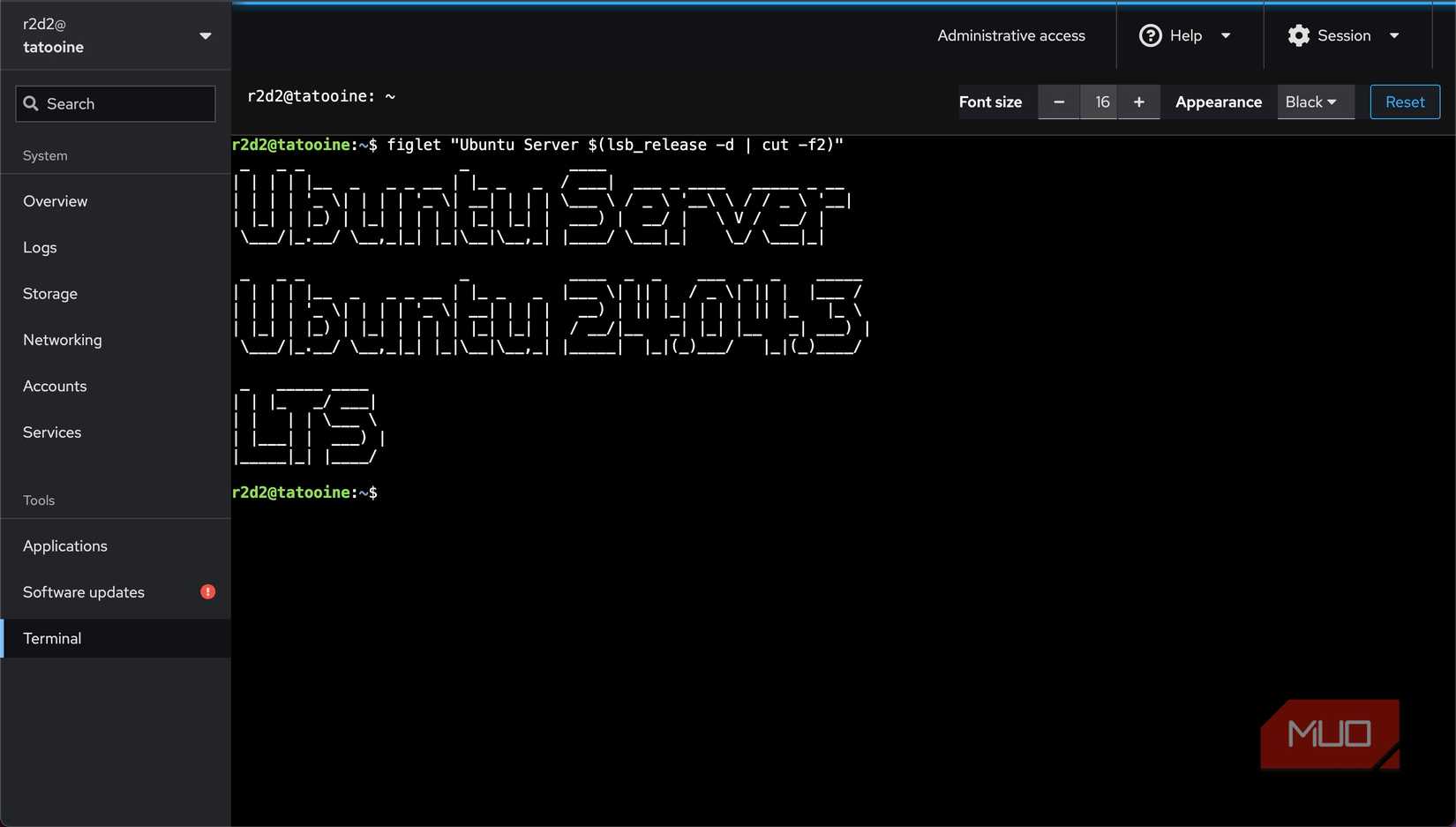 An Ubuntu Server terminal open in web panel. 