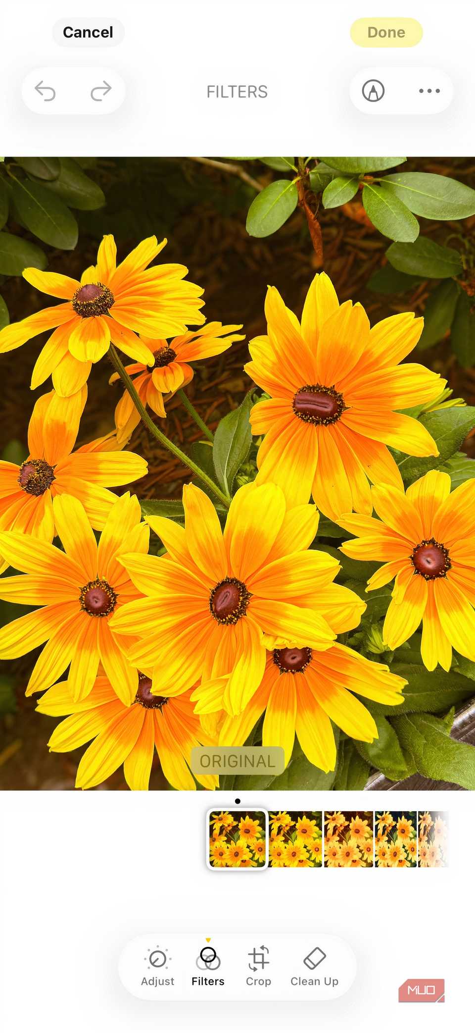 iOS 26 Photos app showing editing options