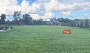large area of green grass with trees and clouds in background