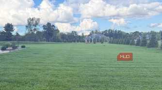 large area of green grass with trees and clouds in background