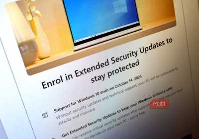 What Language Is This? 5 Tools to Identify Unknown Languages