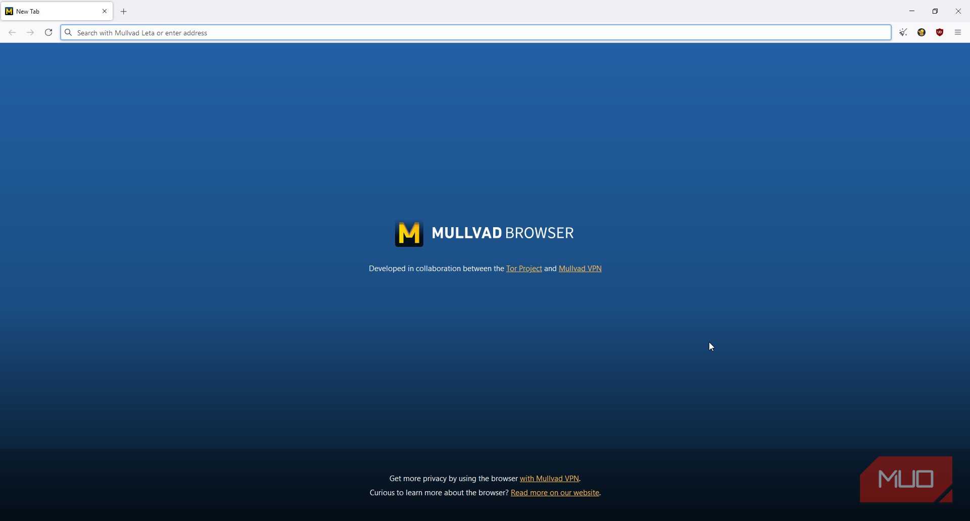 Mullvad browser default home page