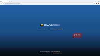 Mullvad browser default home page
